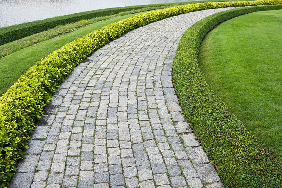 The Stone block walk path in the park with green grass backgroun
